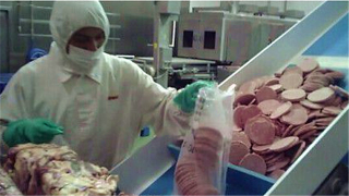 Illustration for article titled Report Shows Just How Disgusting Fast Food Can Be